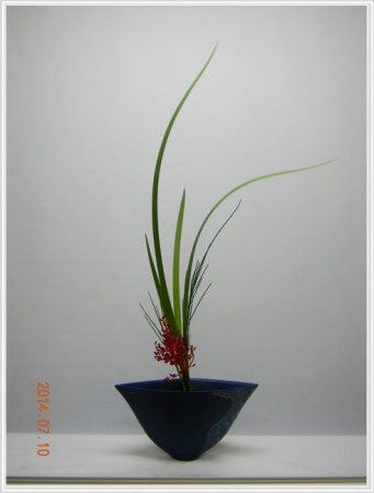 2014.07.105生花:中段流枝變化