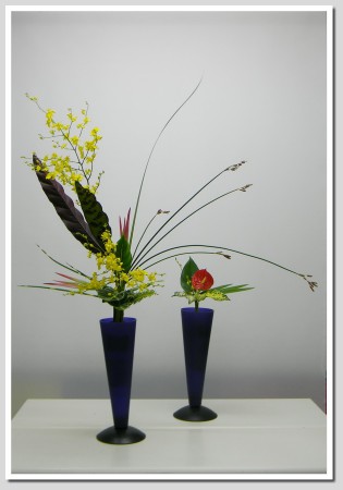 2014.09.11分株立花