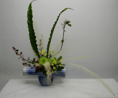 2014.11.27自由花巴西胡椒木