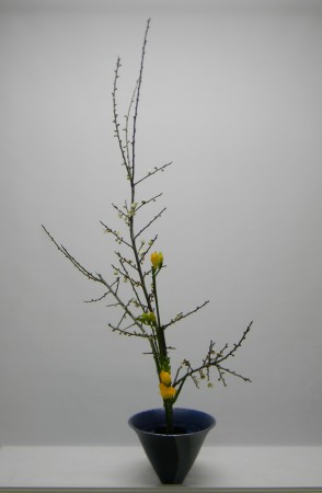 2015.01.08二種生(花 稱體谷)