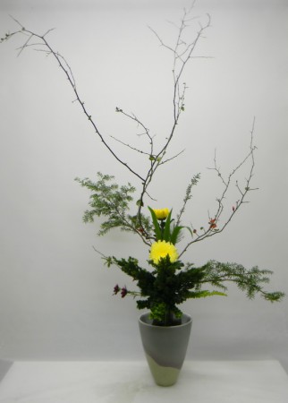 2015.01.15 木瓜花拍出來線條變寬了~實際是往前有立體度的