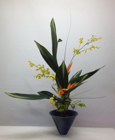 2015.05.14 本勝手左流+9片葉蘭