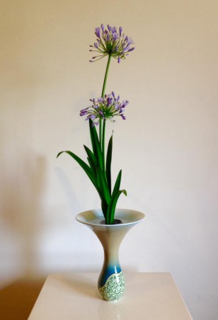 2015.05.28愛情花和合之內一種生