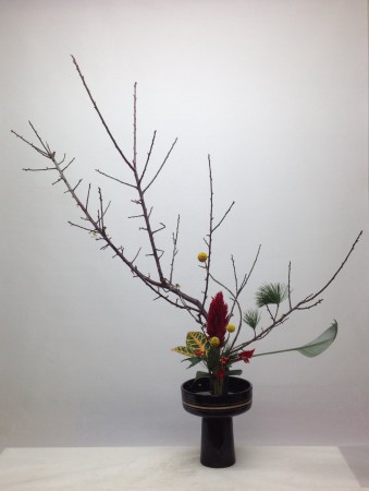 2016.01.07立花新風體