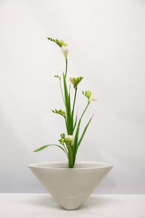 2016.03.17一種生素心蘭