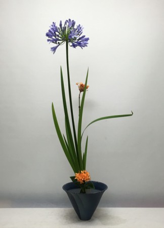 105.03.31 生花  新風體