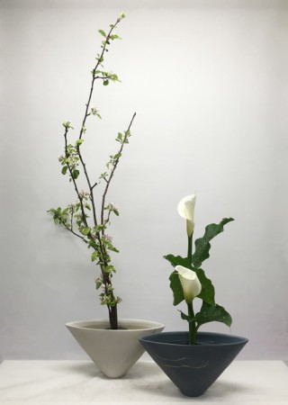 105.04.21 水陸二株生