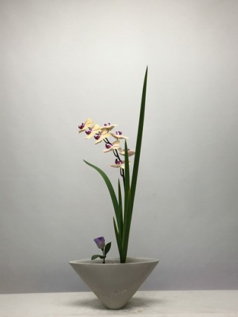 2016.07.14 新風體分株